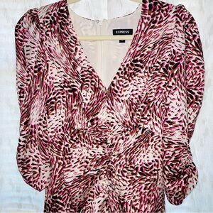 Express Hot Pink & Black Leopard Dress